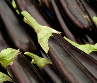 Semi di melanzana lunga