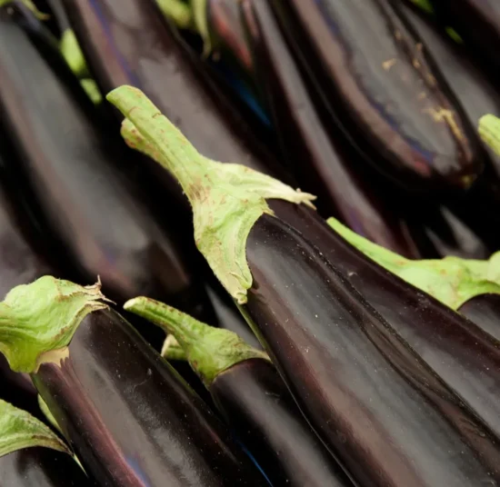 Semi di melanzana lunga