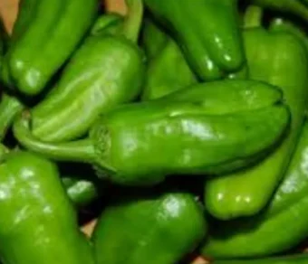 Semi di peperone friariello di Napoli