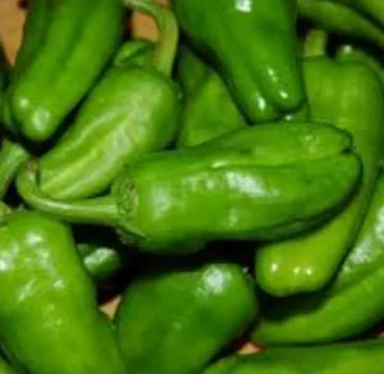 Semi di peperone friariello di Napoli