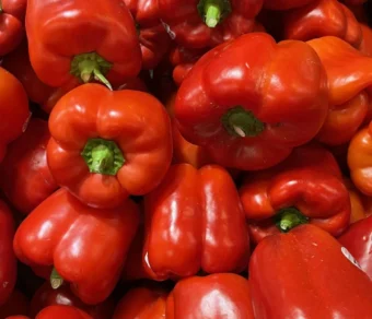 Semi di peperone quadrato rosso