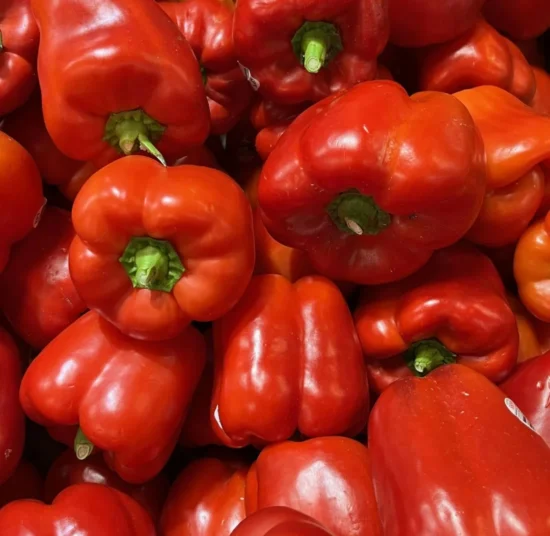 Semi di peperone quadrato rosso