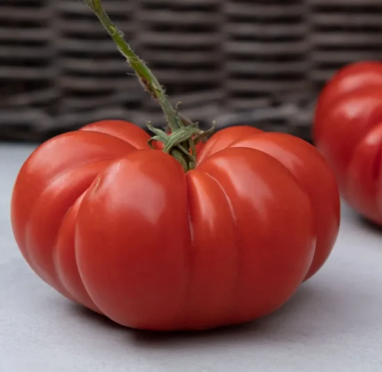 Semi di pomodoro Cuore di Bue