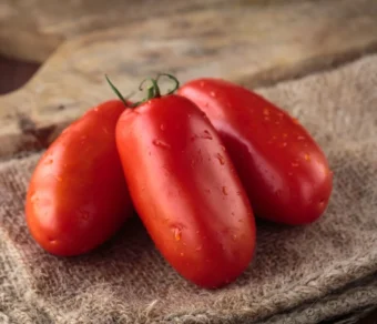 Semi di Pomodoro San Marzano