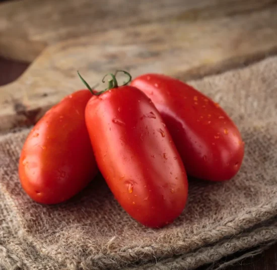 Semi di Pomodoro San Marzano