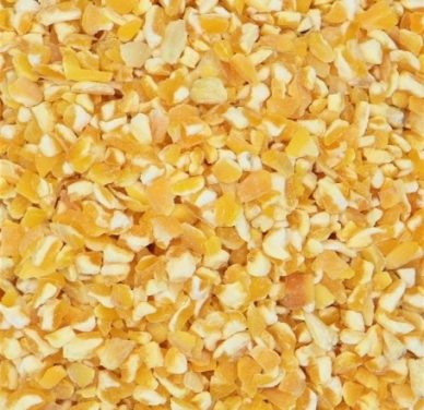 Spezzato di Mais per Galline Ovaiole