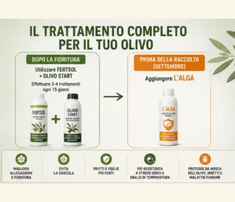 Trattamento Olivo Completo