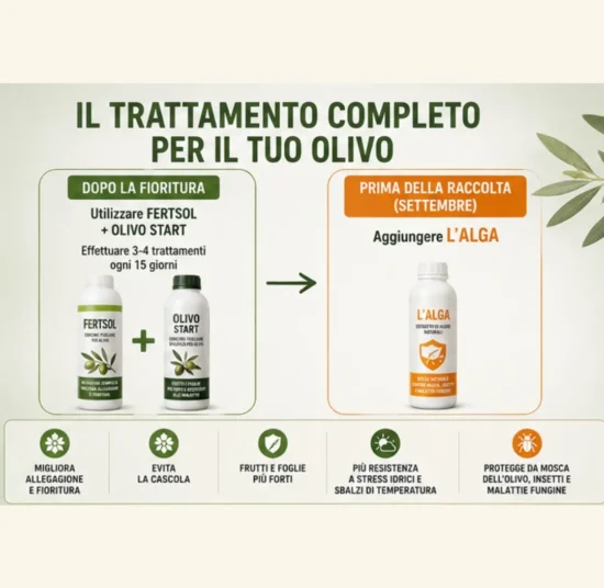 Trattamento Olivo Completo