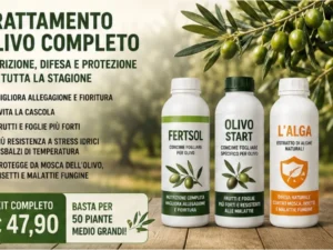 Trattamento Olivo Completo