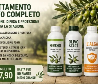 Trattamento Olivo Completo