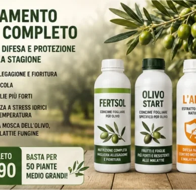Trattamento Olivo Completo