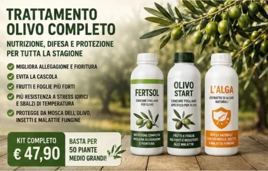 Kit trattamento olivo completo con Fertsol, Olivo Start e Alga per nutrizione, difesa e protezione stagionale.