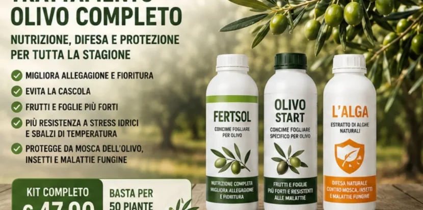 Kit trattamento olivo completo con Fertsol, Olivo Start e Alga per nutrizione, difesa e protezione stagionale.
