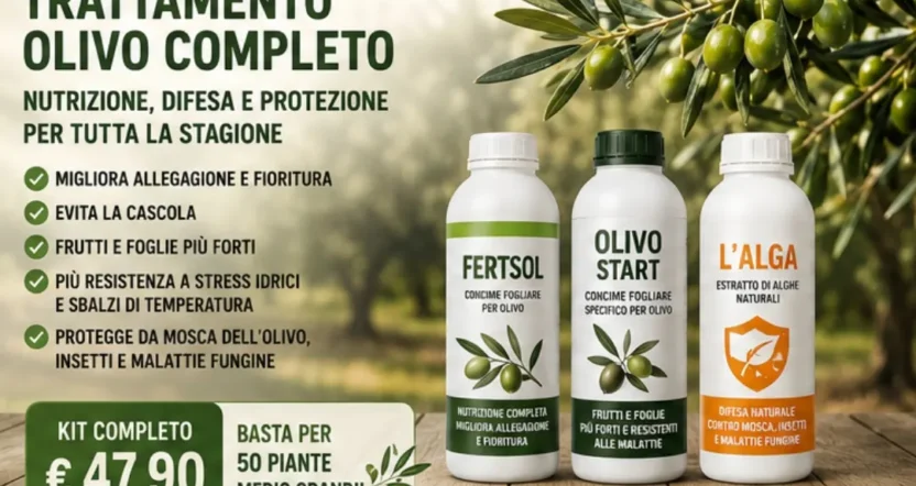 Kit trattamento olivo completo con Fertsol, Olivo Start e Alga per nutrizione, difesa e protezione stagionale.