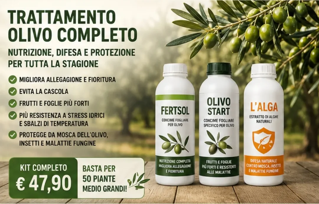 Kit trattamento olivo completo con Fertsol, Olivo Start e Alga per nutrizione, difesa e protezione stagionale.