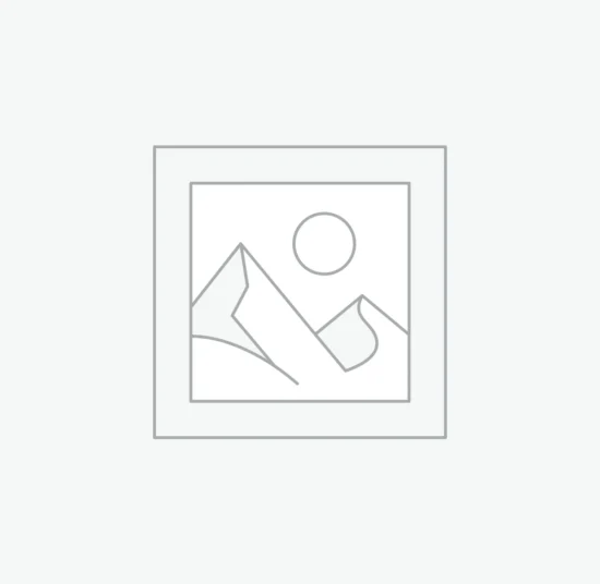 Coniglietto nano in vendita a Roma