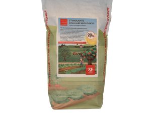 Farina di Basalto XF